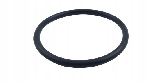 Oring BPU 5000018194 / 0018194